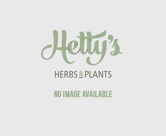 Hetty's Herbs