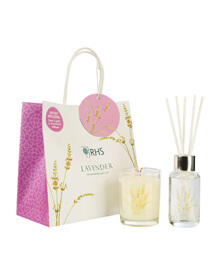 Wax Lyrical RHS Fragrant Garden Lavender Candle & Diffuser Gift Set