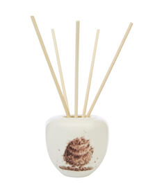 Hetty's Herbs & Plants Chervil | Hetty's Herbs & Plants