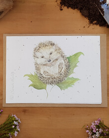 Love Country Seed Card – Mr Prickles Hedgehog