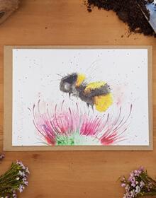 Love Country Seed Card – Thistle & Bee