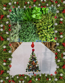 Christmas Herb Plants Selection Gift includes a Keepsake Gift & Wrendale Card