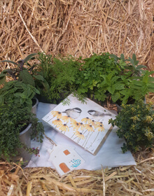 Herb Garden Essentials Gift includes a Keepsake Gift & Wrendale Card