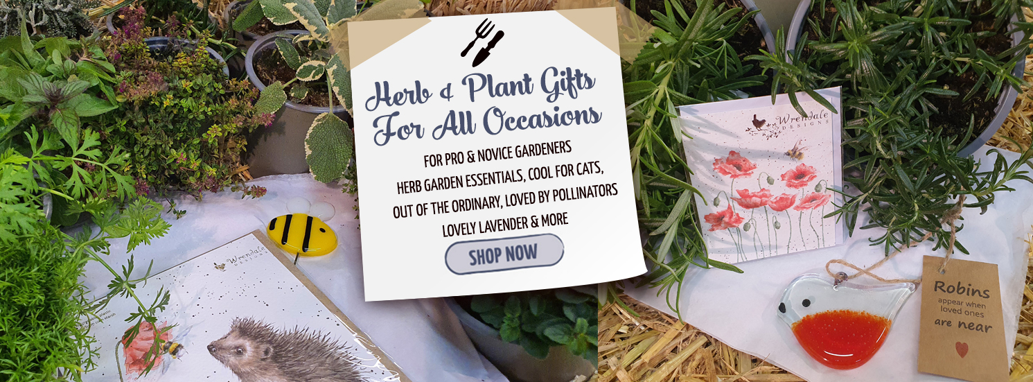Hetty's Herbs Hetty’s Herb & Plant Gifts