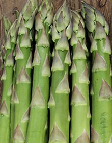 Asparagus Gijnlim