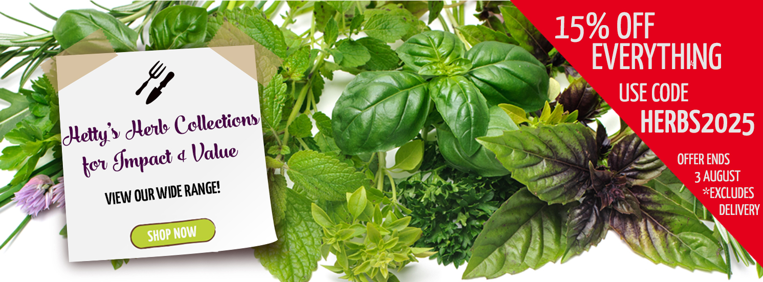 Hetty's Herbs Herb Collections Sale